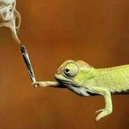 Ecoste