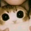 Seet
