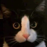 НЕДОРАЗУМЕНИЕ