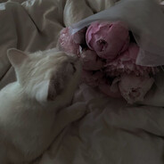 хрепящее дристал