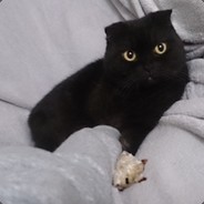 热爱学习无法自拔