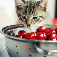 Cherry Kittens