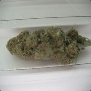 PanyP420
