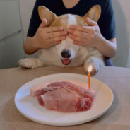 学医救不了你我