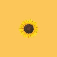 SunFlower avatar
