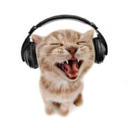 kusi "ei leiki" nokka 67kmh peek