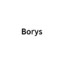 Borys