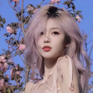 浙江第一深情双面龟