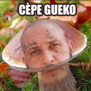 Cèpe Gueko