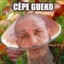 Cèpe Gueko