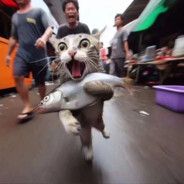 港警之⭐周星星