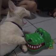 muhtar - steam id 76561199310632802