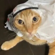 Ya'qub Qamar Ad-Din Dibiyazah