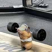 SaiyajiNBEAST avatarı