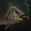 Goddard (The Fish)