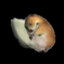 death speedrunner gaming