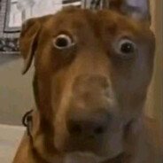 Shove_ItUpUrA$$ - steam id 76561198989795283