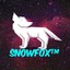 SNOW FOX ™