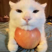 #degloved#kirked#LGBT#regloved