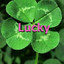 Lucky_3993
