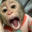 น้องใบบัว