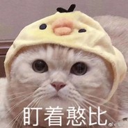 耳科主治医师全治聋