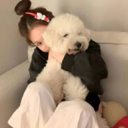 爱吃樱桃的小红帽