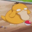 Average Psyduck enjoyer