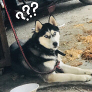 中国人民解放军狼牙特