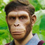 Mr. Monkey