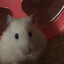 Lars