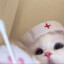 Ddu