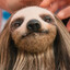 Baileyboo's avatar