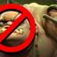 BAN PUDGE