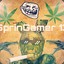 springamer6