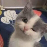 kiadennnnnnnnnnnnnnnnnnnnnnnnnn