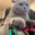 Gamer Cat's avatar