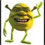 dsims