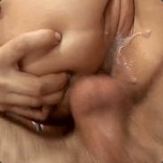 圣光种子传播骑士