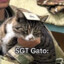 SGT.Gato