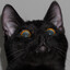 KJKalle (meow) :3