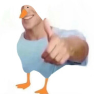 报一丝啊报一丝