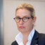 hvh.institute Alice Weidel