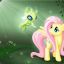 Fluttershy