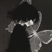 hujarzpl avatar