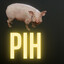 pih