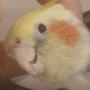 Kongowiciel MIERNOT niszczyciel