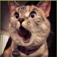 大朗，该吃药了