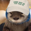 Otter1080p