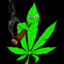miodzio420